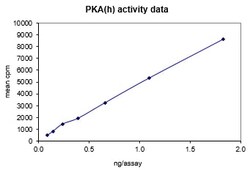 Eurofins DiscoverX PKA Protein, Recombinant 10 &mu;g | Buy Online | Eurofins DiscoverX | Fisher Scientific
